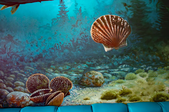 Sealife Mural, Scallops close up