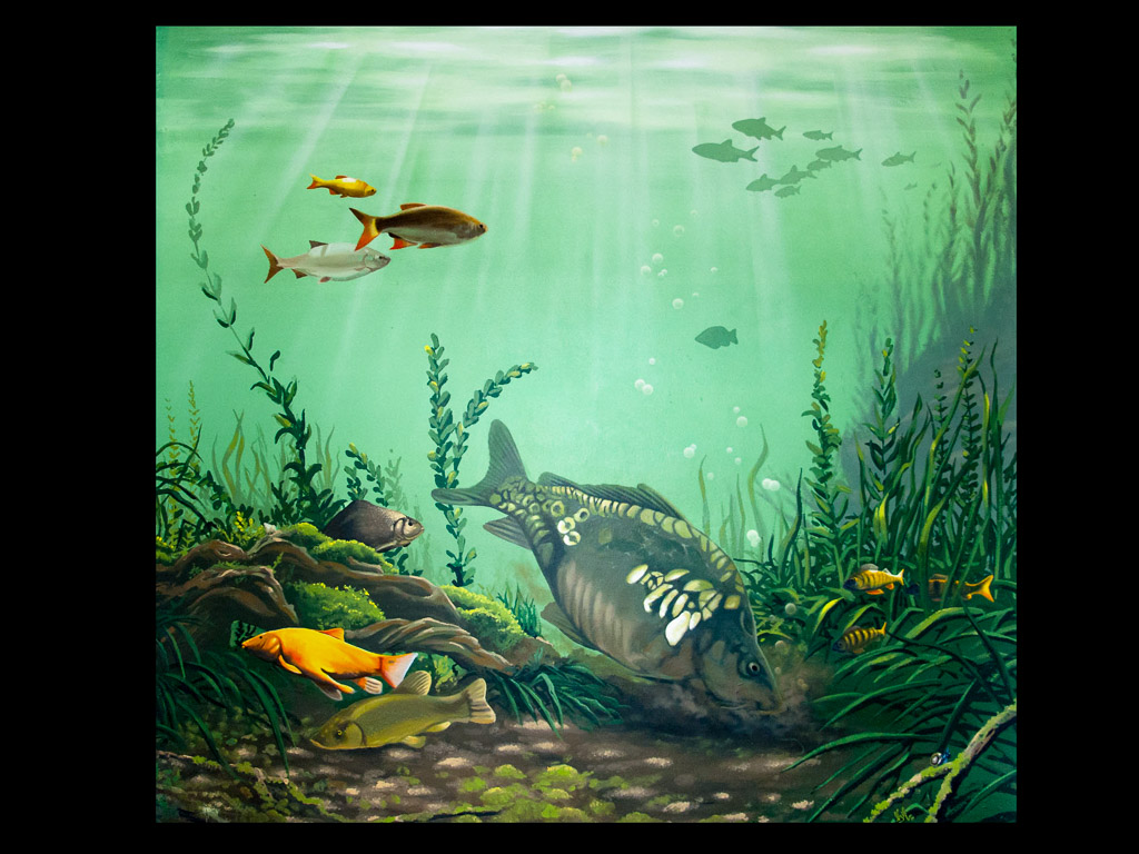 Fish Pond Mural