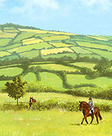 horse rider in devon landscape